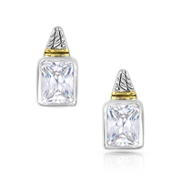 Two Tone Brilliance Earrings