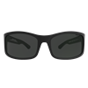 Bex Sunglasses- Ghavert II