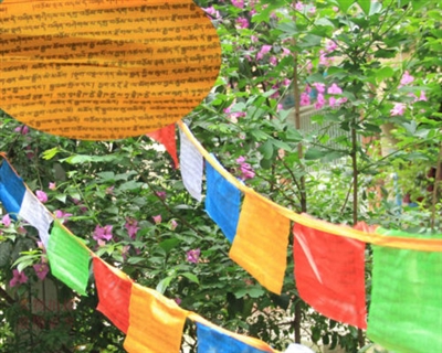 16 Foot Medicine Buddha Prayer Flag