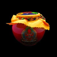 Amitayus Treasure Vase