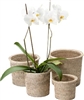Set of 4 Nesting Flower Baskets with Round Rimmed - White Wash 9x8'H/8x7'H/7x6'H/6x5'H