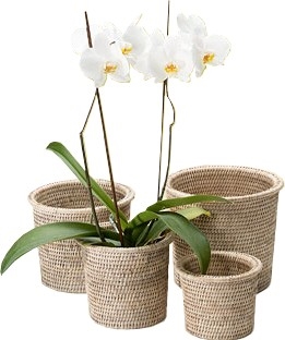 Set of 4 Nesting Flower Baskets with Round Rimmed - White Wash 9x8'H/8x7'H/7x6'H/6x5'H