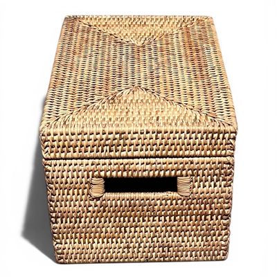 Rectangular Storage Basket  with Lid -N 16x10x9'