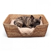 Dog Bed with Cushion - Small Natural Matte  26x19x9'