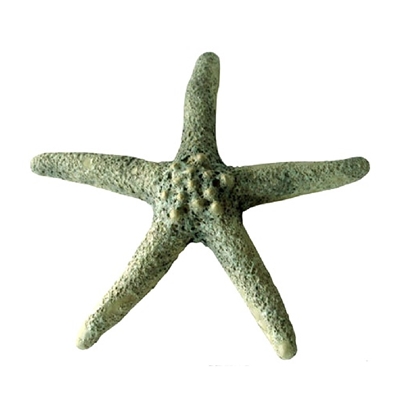Starfish Ceramic Small - Moss Green..