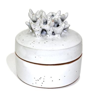 Container Lid Coral Natural White 4.25x4"