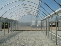 gutter greenhouse, multispan greenhouse, gutter connected greenhouse, greenhouse, LS greenhouse