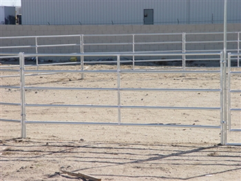 Horse Round Pen