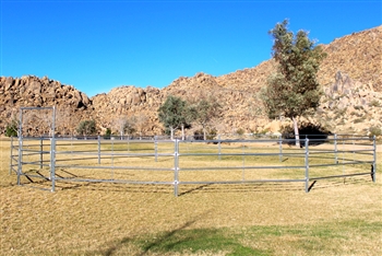 Horse Round Pen