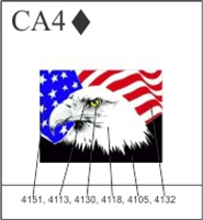 Katzkin Embroidery - Eagle American Flag, EMB-CA4
