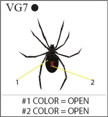 Katzkin Embroidery - Black Widow Spider, EMB-VG7