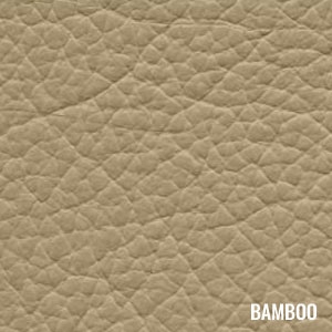 Bamboo