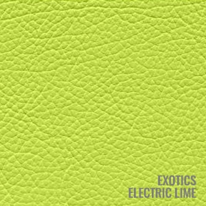 Exotics Electric Lime