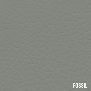 Fossil