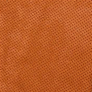 Katzkin Perforated Suedezkin by the Yard