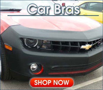 Leather Car Bras