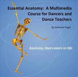 Essential Anatomy - A Multimedia Course