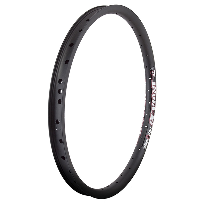 Alienation Ankle Biter 24" Rim