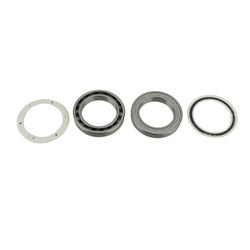 Campagnolo/Fulcrum Cult UT Bearings and Seal Kit