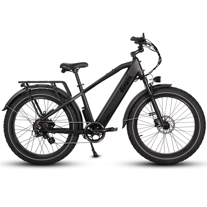 Dirwin Pioneer Fat Tire Electric Bike