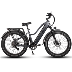 Dirwin Pioneer Step Thru Fat Tire Electric Bike