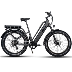 Dirwin Pioneer Plus Step Thru Fat Tire Electric Bike