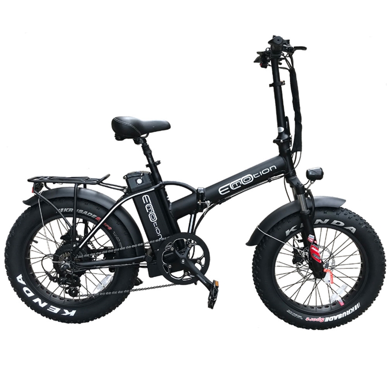 EcoMotion Mini Pro+ e-Fat Bike