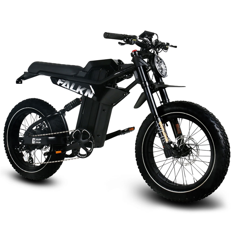 Golden Cycles FALKN E-Bike