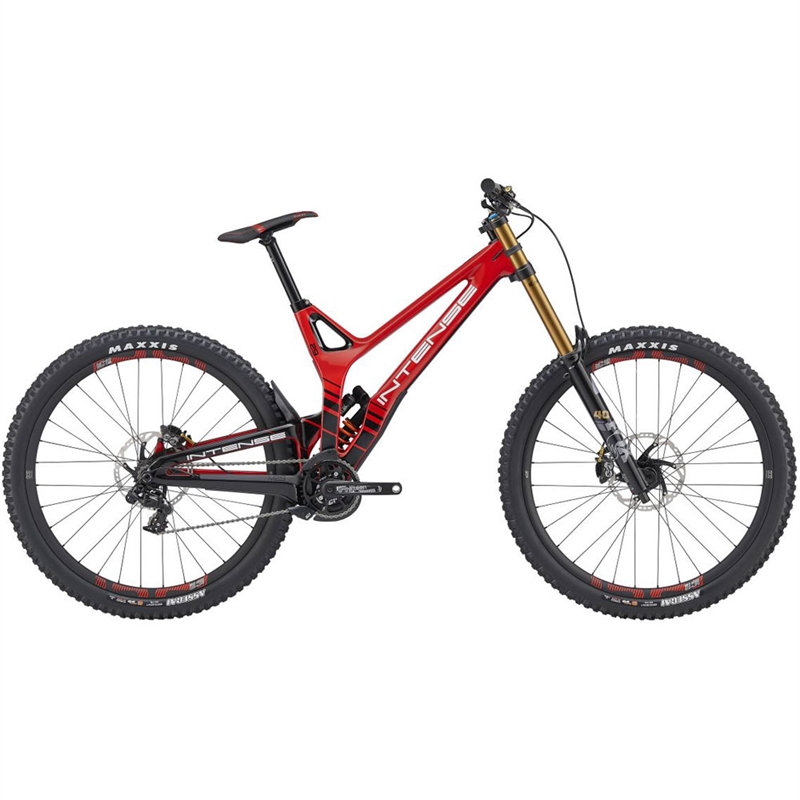 Intense M29 Elite Downhill Bike