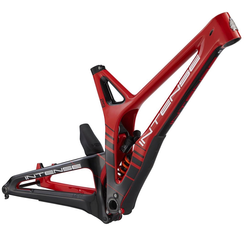 Intense M29 Factory Frame