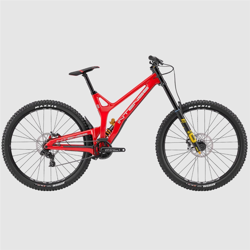 Intense M29 Pro Downhill Bike