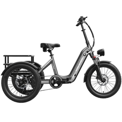 Mokwheel Granite 48v 500w Tricycle Electric Bike