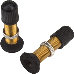 Stan's NoTubes Hugo Schrader Valves