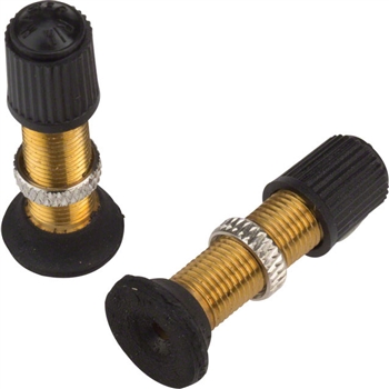 Stan's NoTubes Hugo Schrader Valves