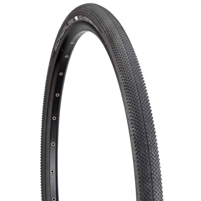 Schwalbe G-One Allround Tire 700 x 45c TL Addix SpeedGrip