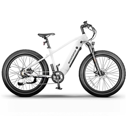 Scootstar Trackstar E-Bike