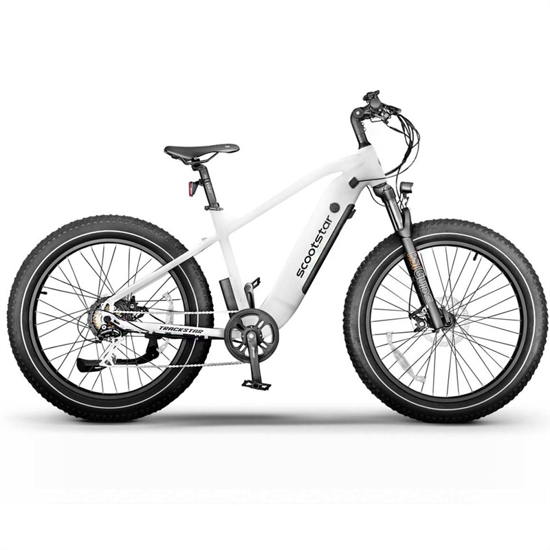 Scootstar Trackstar E-Bike