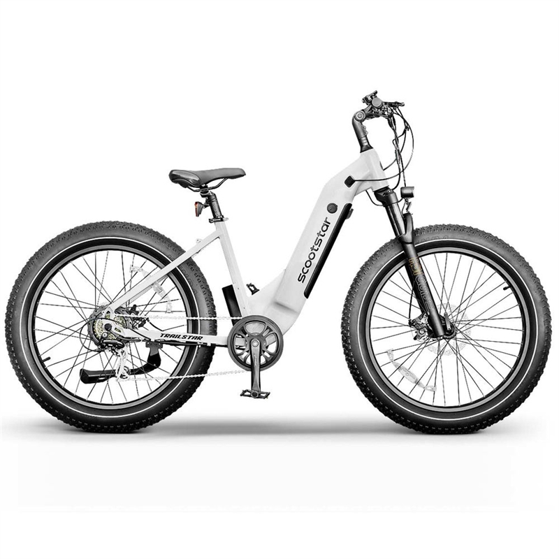 Scootstar Trailstar E-Bike