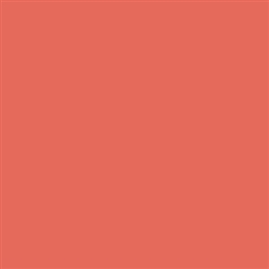 Savage Widetone Seamless Background Paper (#82 Tangelo, 107in x 36ft)