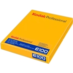 Kodak Professional Ektachrome E100 Color Transparency Film (4x5in., 10 Sheets)