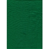 Promaster 6'X10' CHROMA GREEN Background