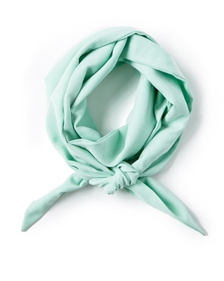 Mint Green Skinny Neck Scarf