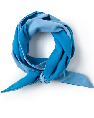 Pool Blue Skinny Neck Scarf