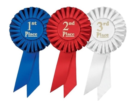 6.5 inch small satin rosette award ribbons for school awards, sports competitions, participation recognition, academic achievement, and event ceremonies