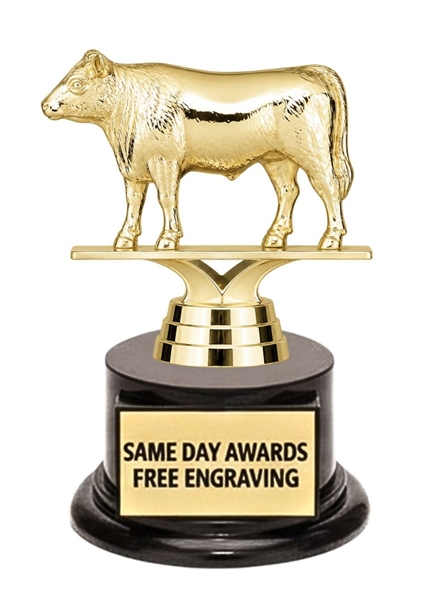 5.5 Inch Gold Angus Steer Trophy with Free Custom Engraving on Weighted Ebony Base for Livestock Shows, Beef Cattle Awards, FFA and 4-H Competitions