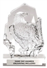 Crystal Eagle Trophy with etched eagle design and custom engraved patriotic recognition award