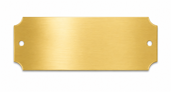 Custom engraved 2.5 inch replacement name plate available in gold, silver, and black finishes for trophies and plaques