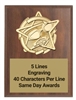 Gold Star Swimming Plaque walnut award with gold swimming emblem and free personalized engraving