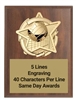 Gold Star Volleyball Plaque Custom Engraved Walnut Recognition Award with Raised 3D Volleyball Emblem