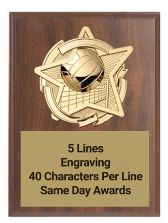 Gold Star Volleyball Plaque Custom Engraved Walnut Recognition Award with Raised 3D Volleyball Emblem